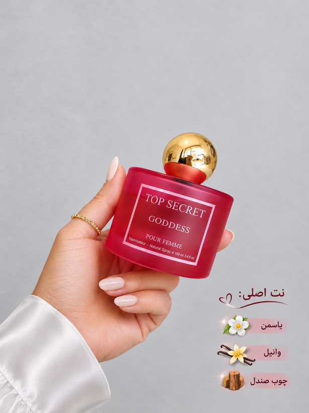 ادکلن آمواج گایدنس 100 میل تاپ سکرت | Amouage Guidance